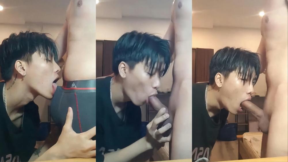 Việt khải bú cu anh trai nhậu sĩn